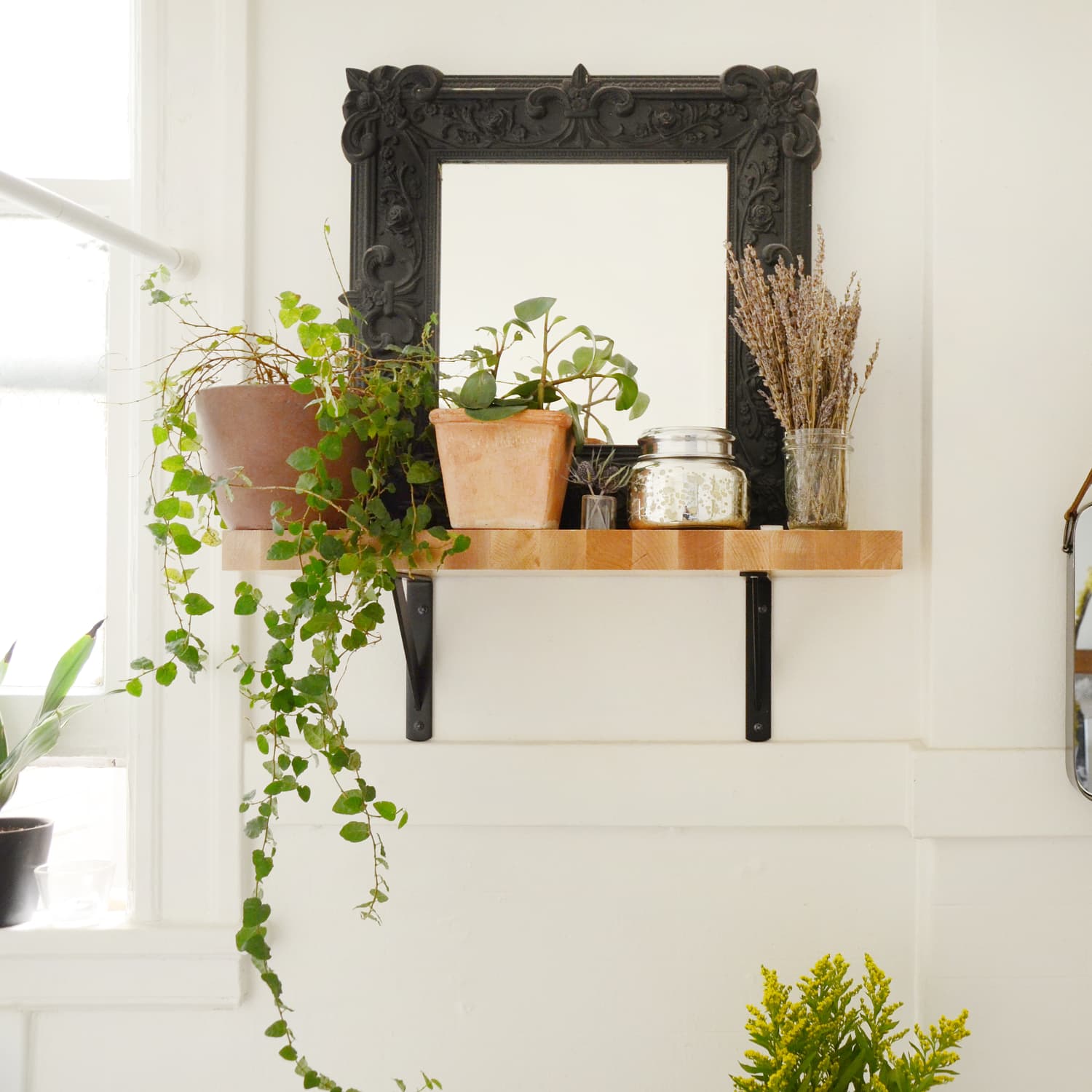 Cheap wall sales shelves